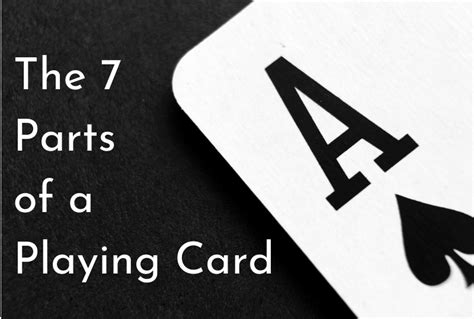 deck of cards composition|The 7 Parts of a Playing Card (Explained) .